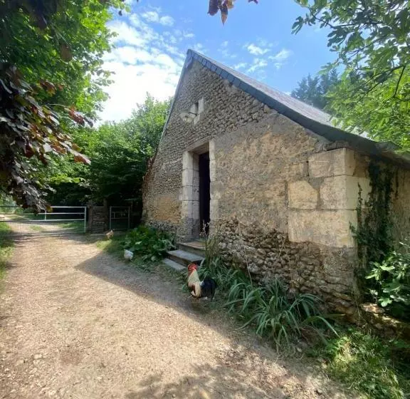 ホテル Loire Valley Llama Farm Stay