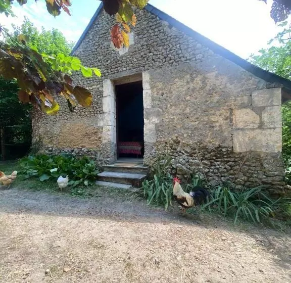 ホテル Loire Valley Llama Farm Stay