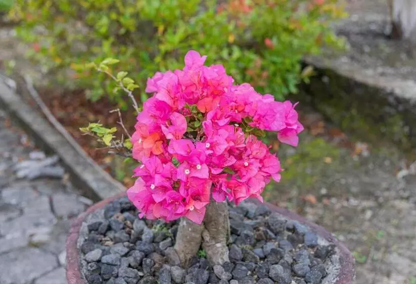 ペンション Batang Golden Hills