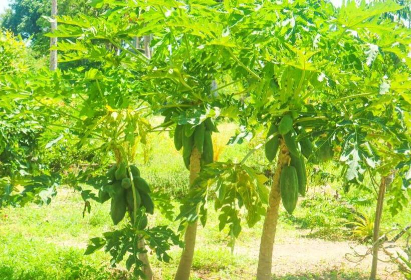 펜션 Batang Golden Hills