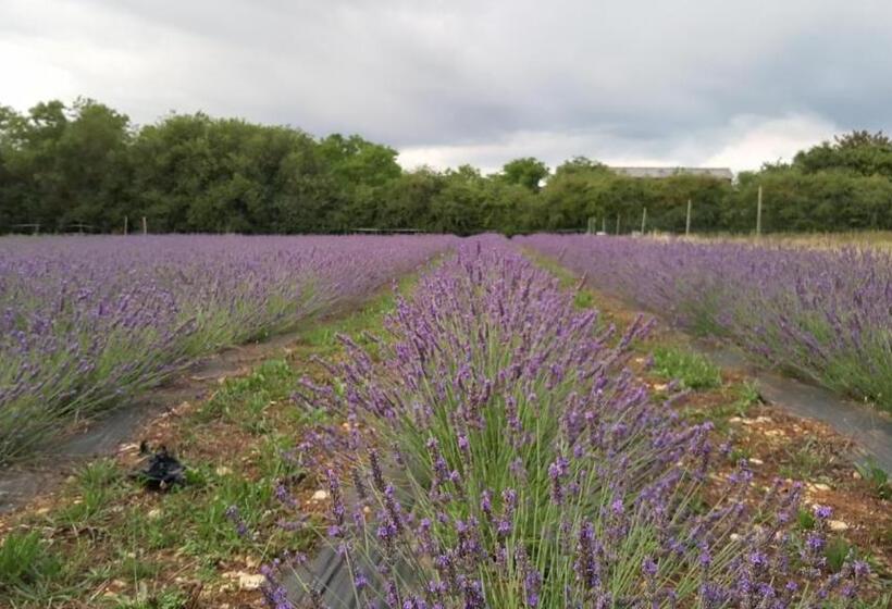 Пансион Gite Le Clos Constance