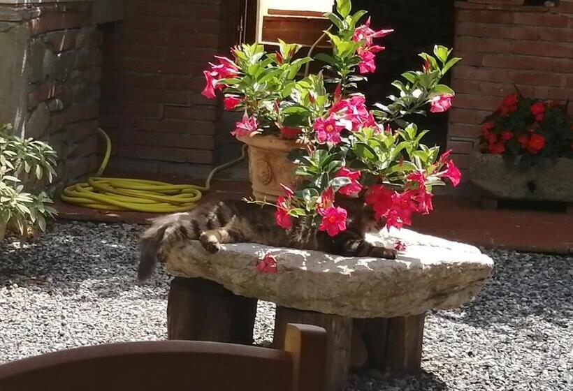 פנסיון La Cascina Di Anna