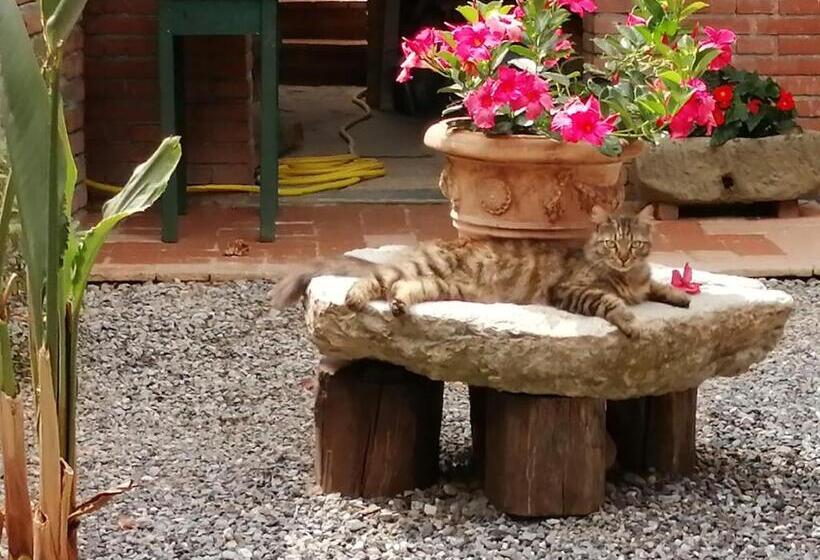 פנסיון La Cascina Di Anna