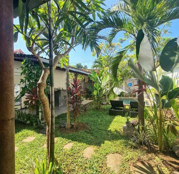 Schronisko The Jungle House