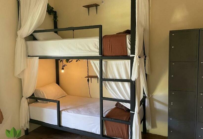 Schronisko The Jungle House