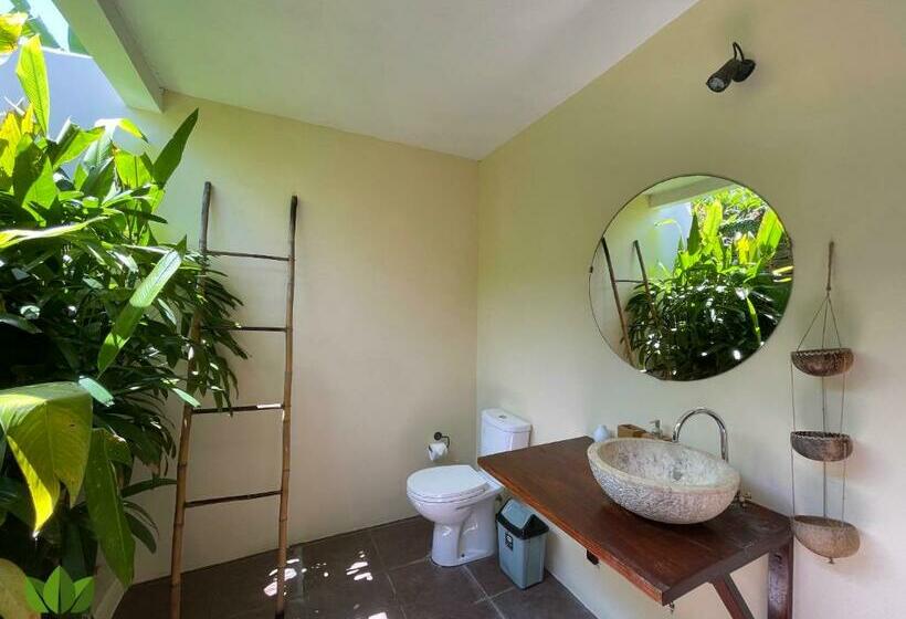 Schronisko The Jungle House