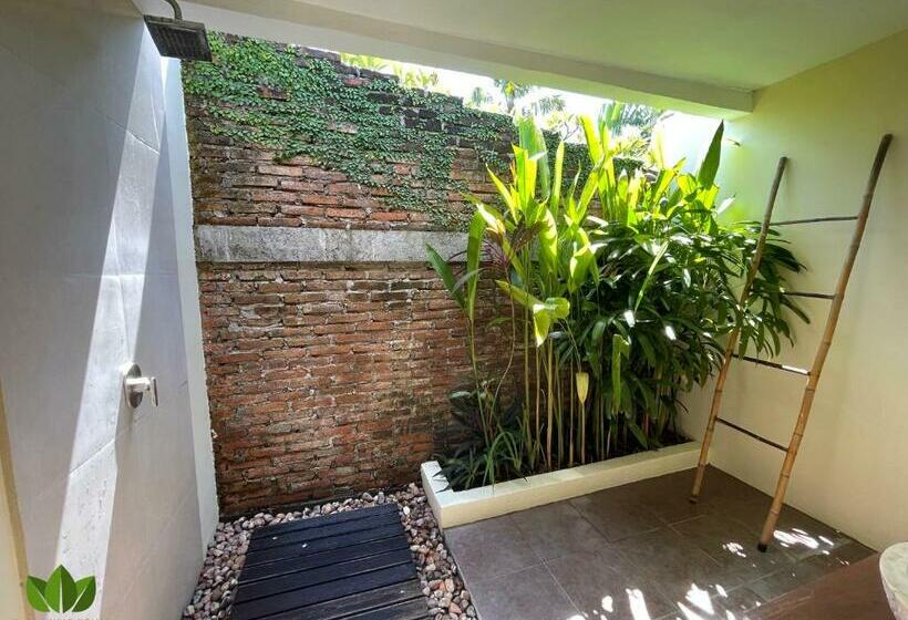 Общежитие The Jungle House