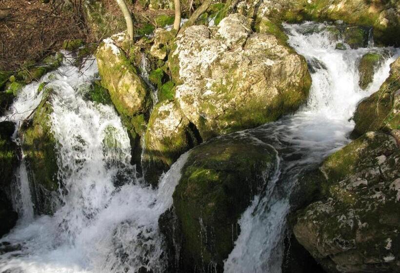 تختخواب و صبحانه Apartments Izvor Lisine