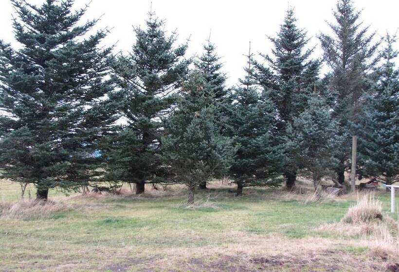 تختخواب و صبحانه Dalssel Farm Guesthouse