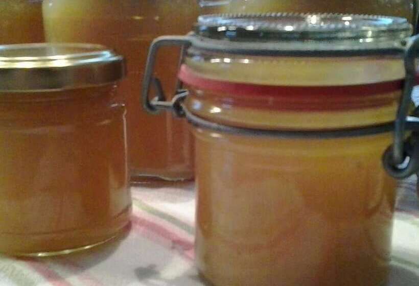 تختخواب و صبحانه Dalssel Farm Guesthouse