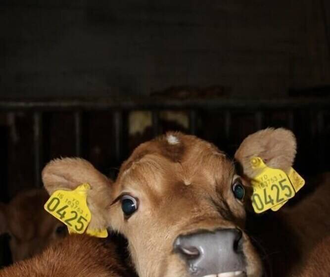 تختخواب و صبحانه Dalssel Farm Guesthouse