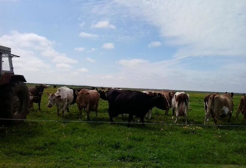 تختخواب و صبحانه Dalssel Farm Guesthouse