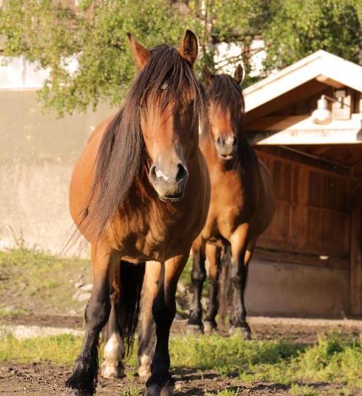 酒店 Sygard Storrvik