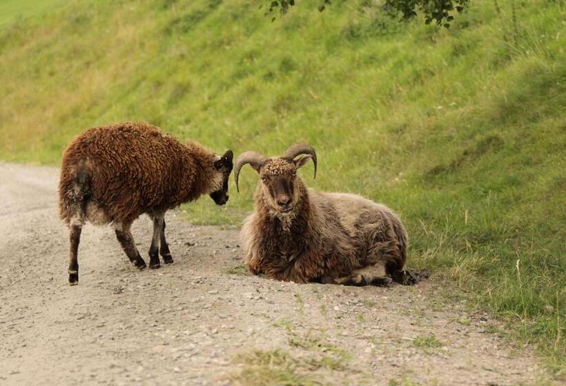 酒店 Sygard Storrvik