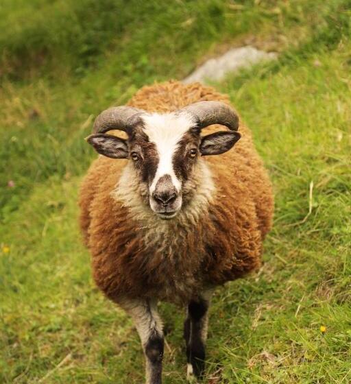 酒店 Sygard Storrvik