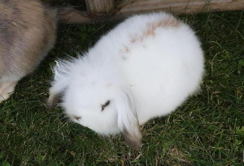 酒店 Sygard Storrvik