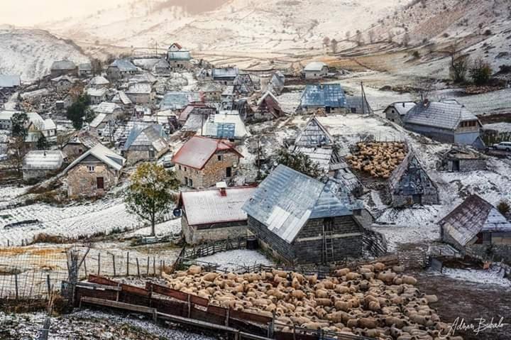 پانسیون Guesthouse Letnja Basta