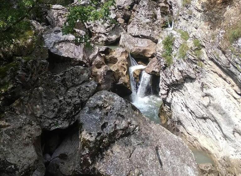 پانسیون Guesthouse Letnja Basta