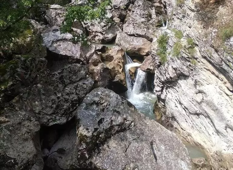پانسیون Guesthouse Letnja Basta