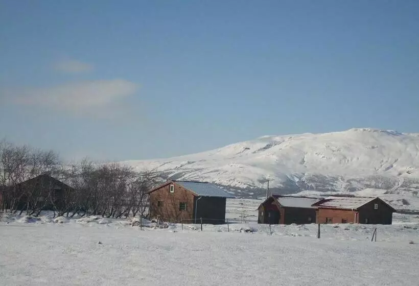 هاستل Geysir Hestar