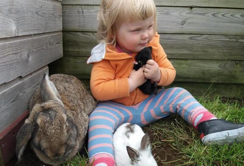 هاستل Geysir Hestar