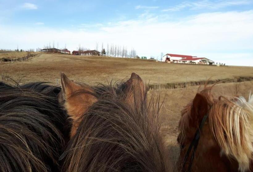 هاستل Geysir Hestar