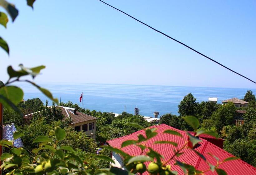 هاستل Guest House Lazika