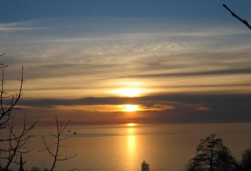 هاستل Guest House Lazika