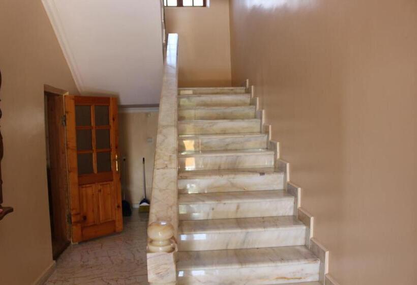 هاستل Guest House Lazika