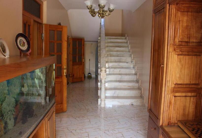 هاستل Guest House Lazika