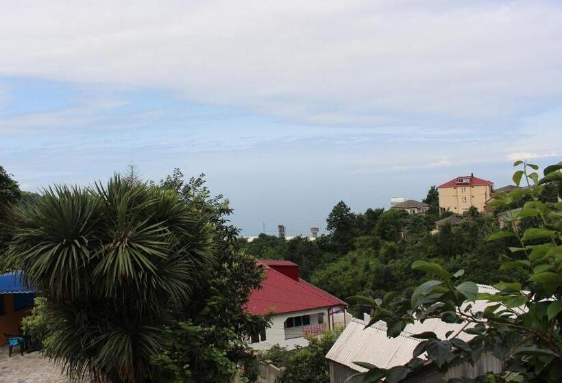 هاستل Guest House Lazika