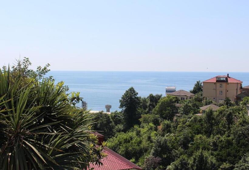 هاستل Guest House Lazika