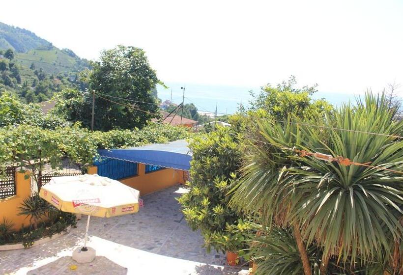 هاستل Guest House Lazika