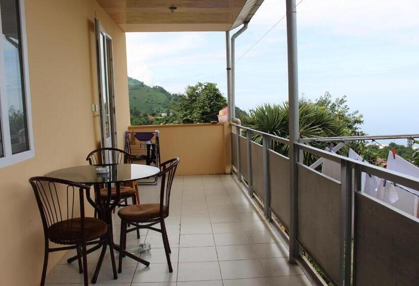 هاستل Guest House Lazika