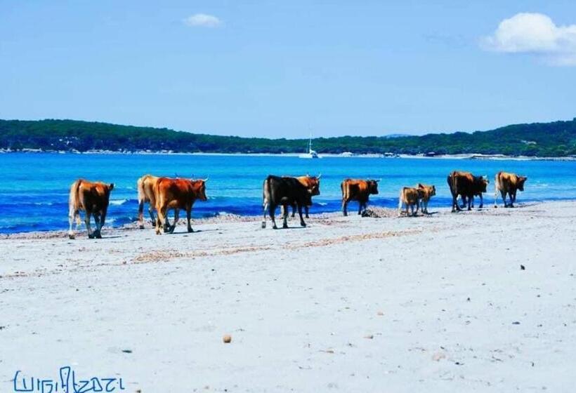 Отель Agriturismo Santa Lucia