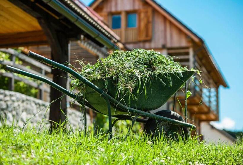 پانسیون Family House Kalska Domačija