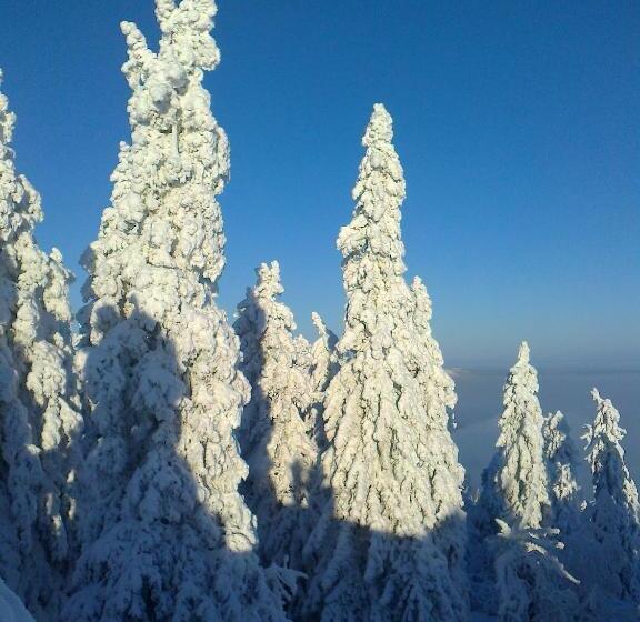 بنسيون Guesthouse Koli Freetime