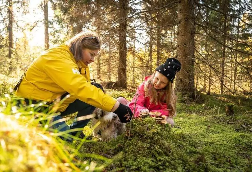 ペンション Guesthouse Koli Freetime