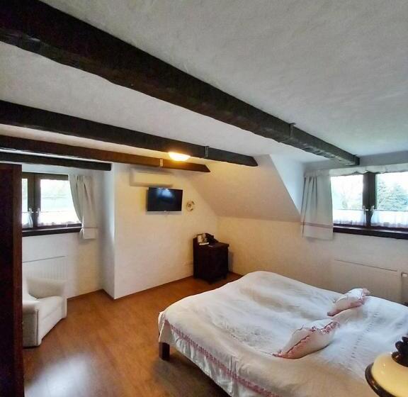 Bed and Breakfast Sári Csárda Panzió