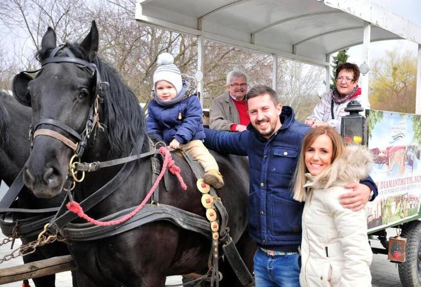 Bed and Breakfast Sári Csárda Panzió