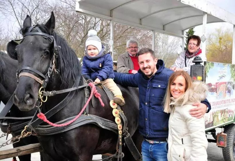 Aamiaismajoitus (B&B) Sári Csárda Panzió