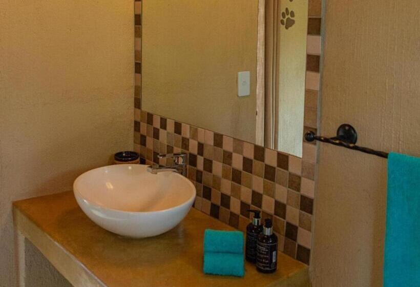 酒店 Impala Cottage