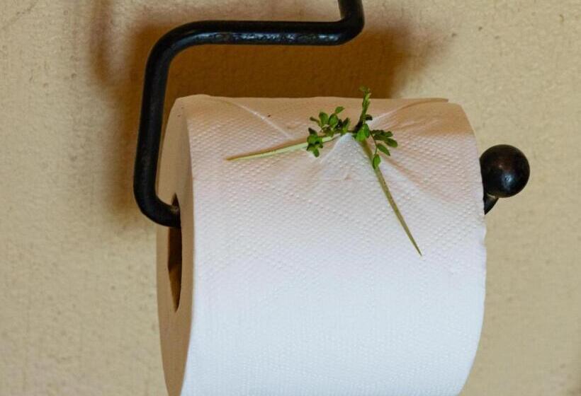 酒店 Impala Cottage