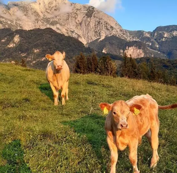 هتل Tourist Farm žvanč