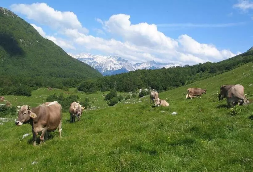 هتل Tourist Farm žvanč