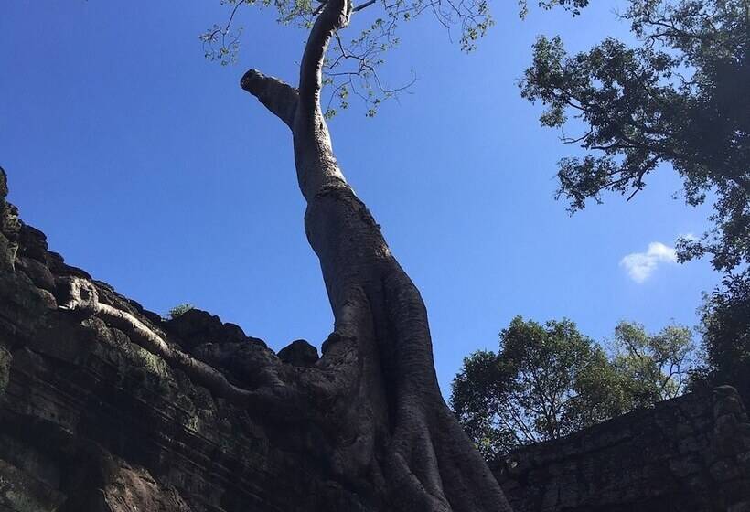 فندق Siemreap Vasinh Residence