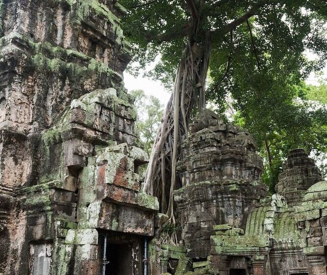 فندق Siemreap Vasinh Residence