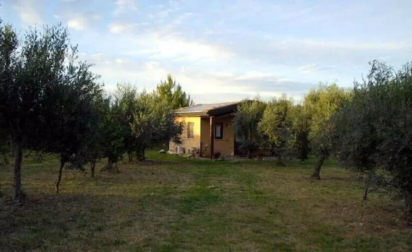 בית מלון כפרי Agriturismo Terra Di Pace