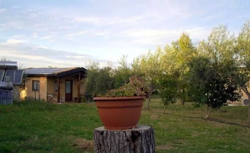 בית מלון כפרי Agriturismo Terra Di Pace