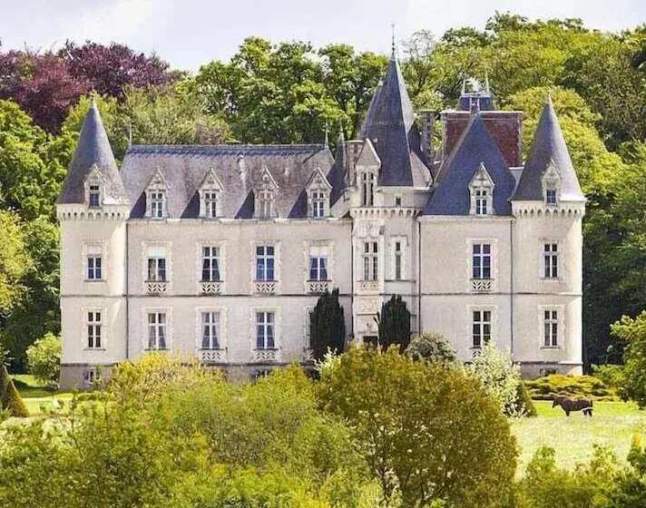 酒店 Château Des Tesnières